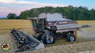 Gleaner R65 Combine Harvesting Wheat [upl. by Crosse]