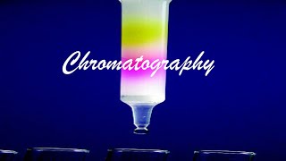 Chromatography Malayalam  Chemistry  Calicut University MG University [upl. by Gwenore]