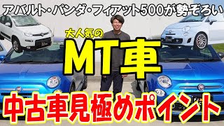 【イタリアMT車】アバルト・パンダ・フィアット500のミッション車勢ぞろい！中古車の見極めポイントを語る！ [upl. by Atla96]