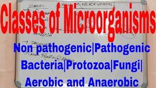 Classes of microorganismsNon pathogenicPathogenicBacteriaProtozoaFungiAerobic and Anaerobic [upl. by Bove466]