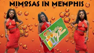 Super Lit Mimosa Festival In Downtown Memphis  Short Vlog  FunWithFlyybarb [upl. by Subocaj]