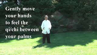 Tai Chi Qigong Shibashi Set 1  by Master Wing Cheung [upl. by Ainadi]