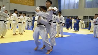 Elite College Judo Practice in Japan at Nittai University  Day 3 of The Japan Judo Camp amp Tour [upl. by Medardas]