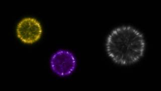 Photons Gravitons amp Weak Bosons  Standard Model Of Particle Physics [upl. by Ahrens]