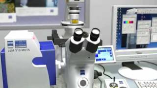 LSCM Zeiss 510 Meta  Dr Othon Gervasio  3D Scientific Animation [upl. by Sadiras]