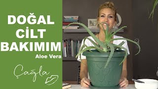 Çağla  Doğal Cilt Bakımım  Aloe Vera  GüzellikBakım [upl. by Dugan]