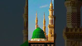 Main madine chala naat 💞 madina naat 💞 youtubeshorts cat duet islamicsong love rimzee [upl. by Yelkao]