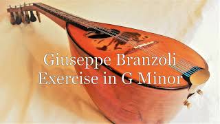 Giuseppe Branzoli  Exercise in G Minor for Solo Mandolin [upl. by Eceinaj995]