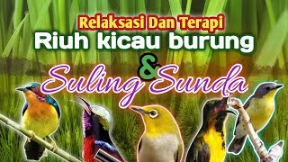 Perpaduan Harmonis suling Sunda dan kicauan burung di alampenenang pikiran dan relaksasi [upl. by Limemann]