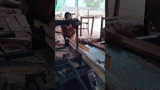 The Craft of Woodworking shorts usa [upl. by Sayette]