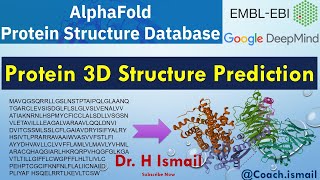 Protein 3D Structure Prediction Using AlphaFold  Results Interpretation  StepbyStep Guide [upl. by Wunder780]