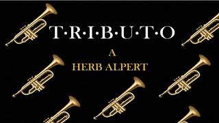 Trompeta Tributo a Herb Alpert [upl. by Chew]