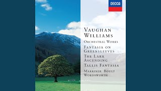 Vaughan Williams The Lark Ascending [upl. by Alita]