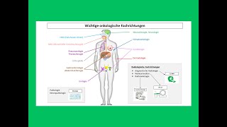 Wichtige onkologische Fachrichtungen  Strahlentherapie Prof Hilke Vorwerk [upl. by Annaeel]