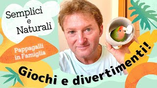 Giochi semplici e naturali per i pappagalli [upl. by Pascasia]