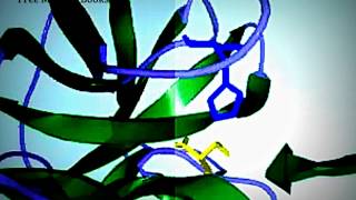 Chymotrypsin mechanism of action [upl. by Quiteris330]