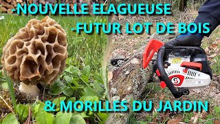 EN MODE BUCHERON FUTUR LOT ELAGUEUSE amp MORILLES 🪵🌲🪓🌳🪚 [upl. by Pena]