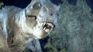 National geographic  T Rex Tyrannosaurus Rex  New Documentary HD 2018 [upl. by Lenes]