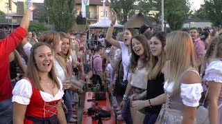 Die Partyfürsten  AltmainWeinfest Sand am Main 2018 [upl. by Anuahs]