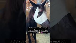 This horses surgery went well horse animalrescuer lovehorses [upl. by Batista419]