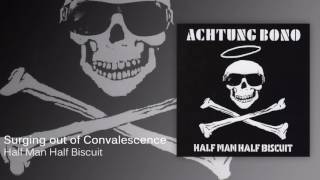 Half Man Half Biscuit  Surging out of Convalescence Official Audio [upl. by Cofsky]