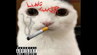 Lung cancer 500 cigarettes breakcore [upl. by Helenka284]