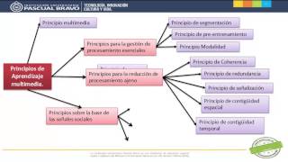 Esquema Principios del Aprendizaje Multimedia [upl. by Valonia]