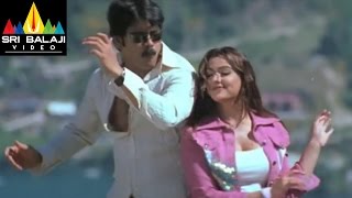 Nenunnanu Promo Songs Back to Back  Video Songs  Nagarjuna Aarti Shriya  Sri Balaji Video [upl. by Ervin]