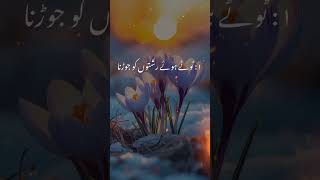 3 asi nikiyan shortvideo loveallah islamicvideo islamicknowledge youtubeshorts [upl. by Nuhsal]