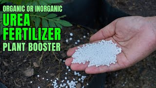 Boost plant growth with Urea Fertilizer [upl. by Oicnedurp779]