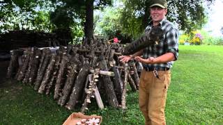 Agroforestry Cultivation of Shiitake Mushrooms [upl. by Caves]