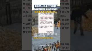 90多岁村民第一次听说老虎进村 专家：伤人老虎或来自俄罗斯 [upl. by Esereht929]