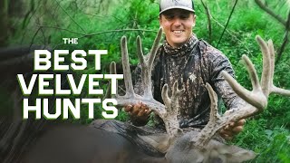 The Best Velvet Hunts [upl. by Secor]