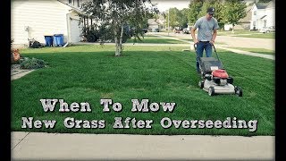 When To Mow New Grass after Overseeding and First Mow [upl. by Eniaral]