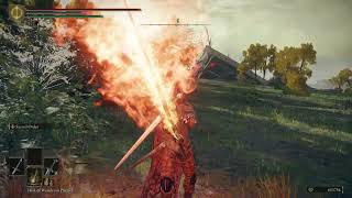 Elden Ring Showcasing Abyss Watcher Moveset Mod [upl. by Radley]