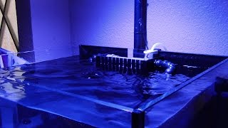 HOW TO SET UP AND INSTALL SC AQUARIUM 45G PNP SALTWATER NANO REEF TANK BUILD [upl. by Keir]