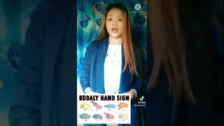 Kodaly Method  Teaching Music in Elementary Grades [upl. by Ann-Marie604]