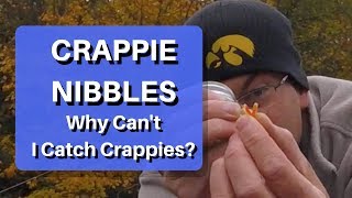 Do Crappie Nibbles Catch Crappie Sometimes [upl. by Danialah141]