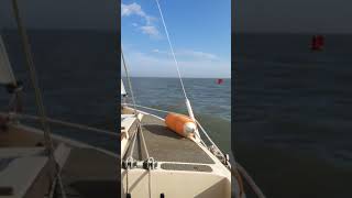 A lovely late October sail to Felixstowe on Shrimper Gannet [upl. by Demakis187]