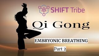 QIGONG Meditation Embryonic Breathing  Part 2 [upl. by Aizan880]