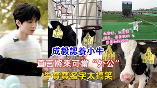 成毅認養小牛，直言將來可當“外公”！牛寶寶名字太搞笑！ [upl. by Gaynor]