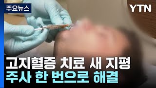 주사 한 번에 고지혈증 해결유전자 치료 임상 희망적  YTN [upl. by Domenic]