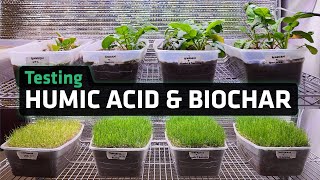 Humic Acid and Biochar Does It Work [upl. by Fanny]