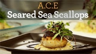 Seared Sea Scallops Recipe  Inside My Kitchen [upl. by Shushan]