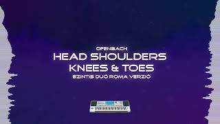 Ofenbach  Head Shoulders Knees amp Toes Szintis Duó Roma Verzió ZSÁH [upl. by Garling512]