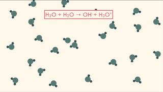 Unit 12 Segment 3 Equilibrium Demonstration [upl. by Eba558]