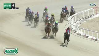 Busan 20240517 R4 Class 4 1400M Handicap [upl. by Hanonew813]