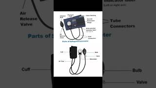 parts of sphygmomanometer  sphygmomanometer all parts name  sphygmomanometer [upl. by Ynnavoig582]