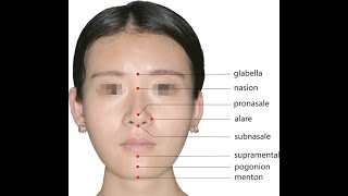 Anatomy of the Nasion  Bridge of the nose [upl. by Sigismond123]