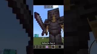 Minecraft tik tok hack viral shorts [upl. by Elliott557]